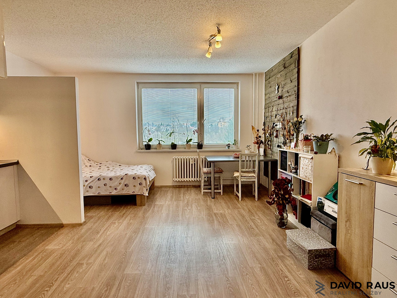 Pronájem bytu 1+kk 31 m² — photo 3