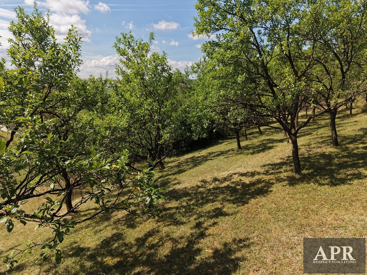 Prodej zahrady 2 596 m² — photo 4