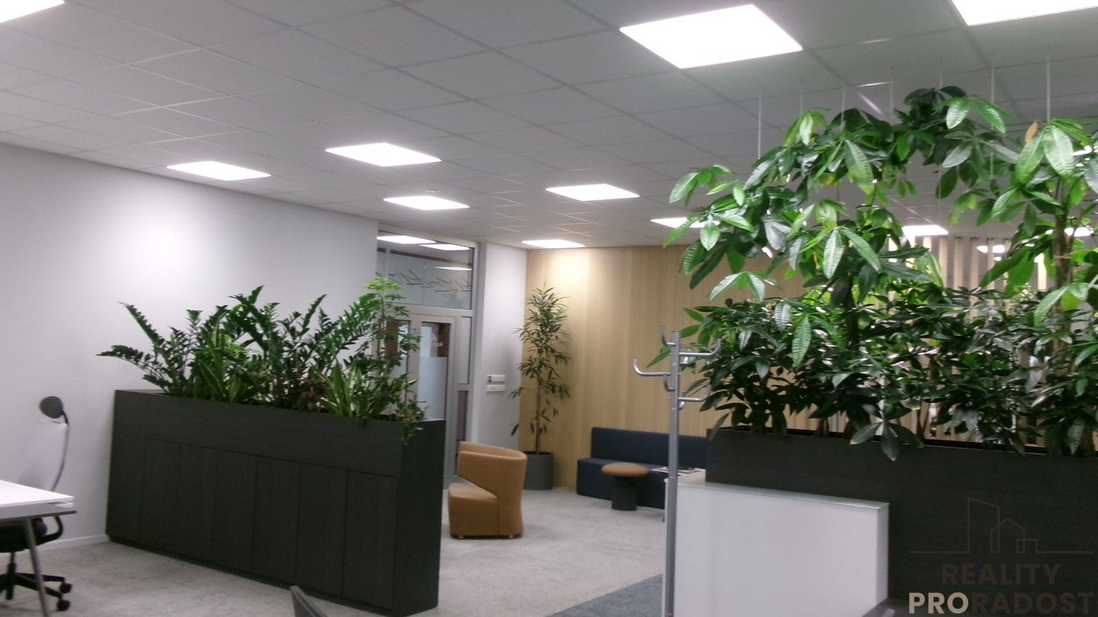 Pronájem nemovitosti 342 m²