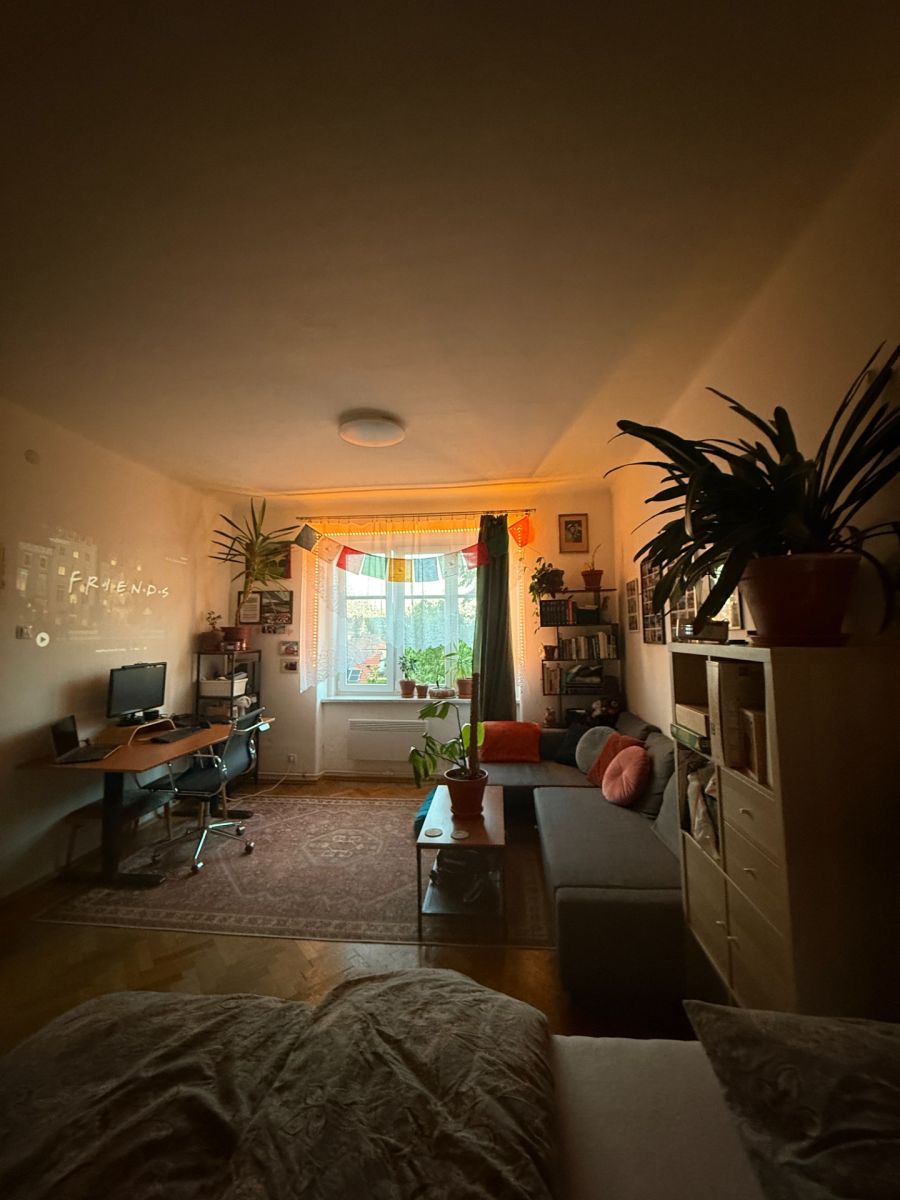 Pronájem bytu 1+1 46 m²