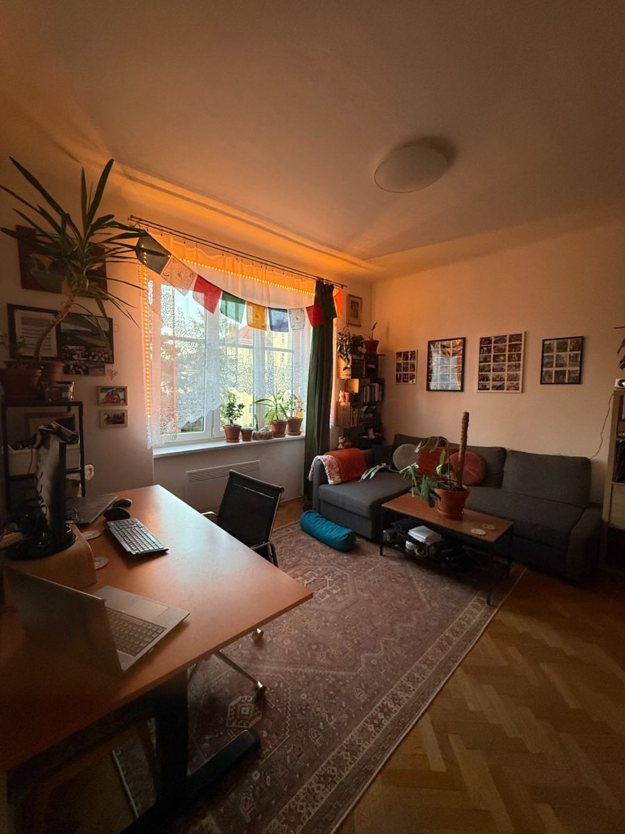 Pronájem bytu 1+1 46 m² — photo 2