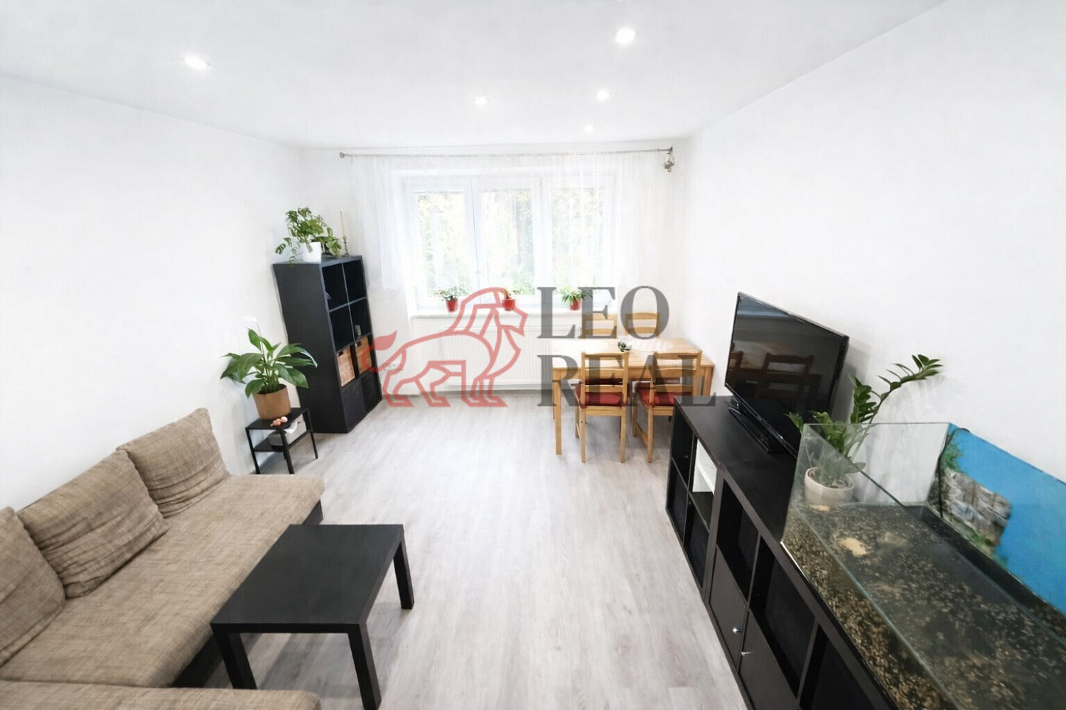 Pronájem bytu 3+kk 56 m² — photo 2