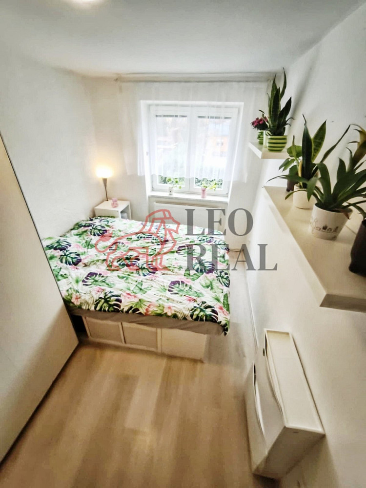 Pronájem bytu 3+kk 56 m² — photo 3