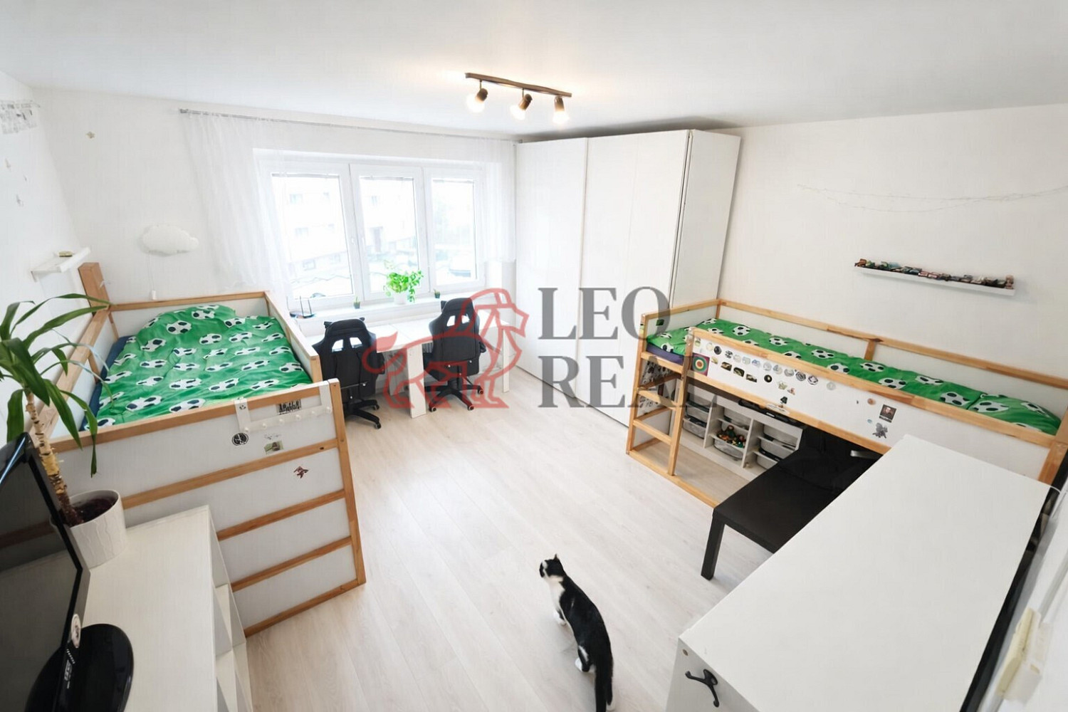 Pronájem bytu 3+kk 56 m² — photo 4