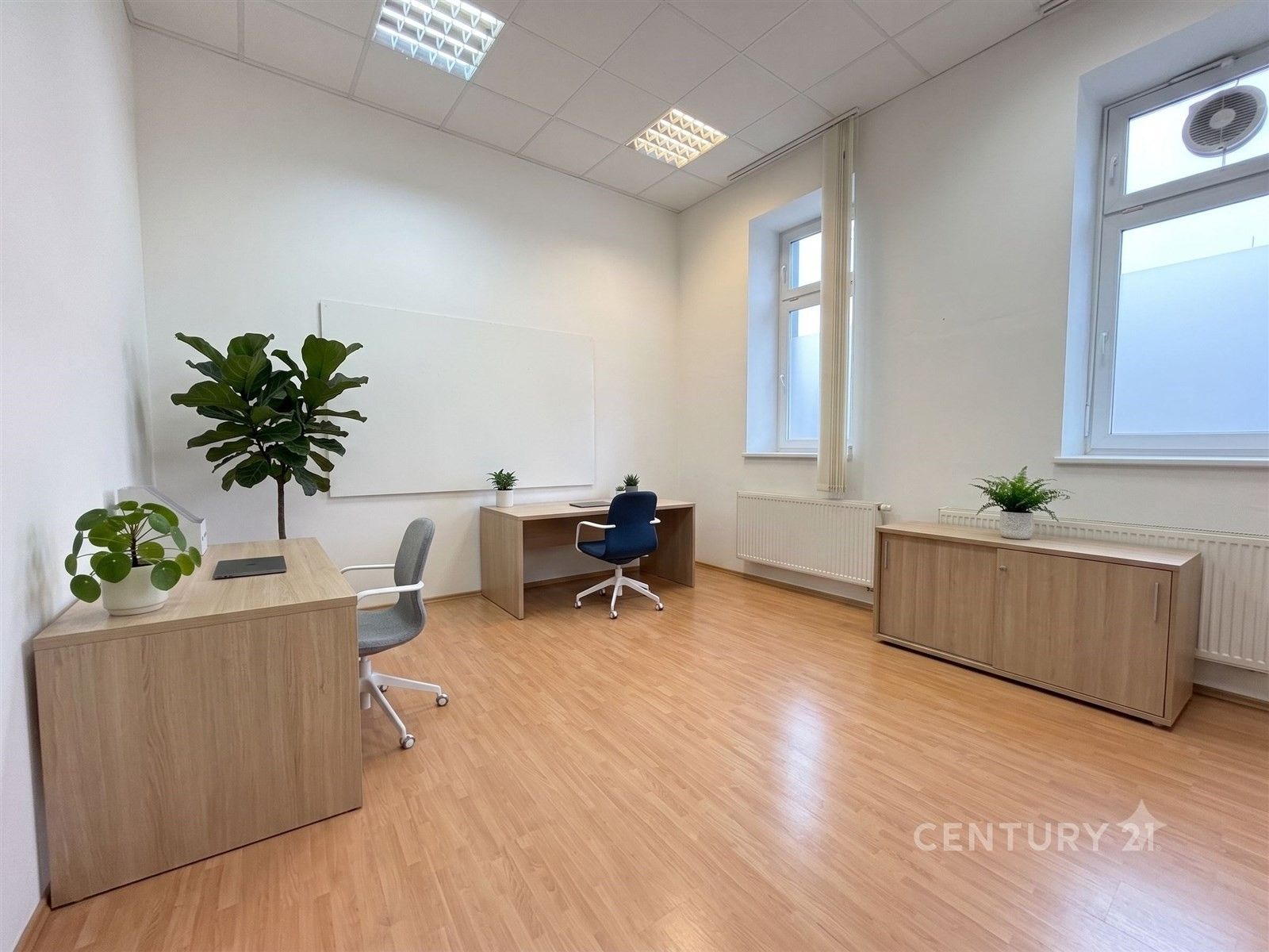 Pronájem nemovitosti 17 m²