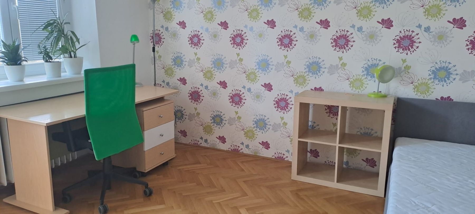 Pronájem bytu 3+1 90 m² — photo 2