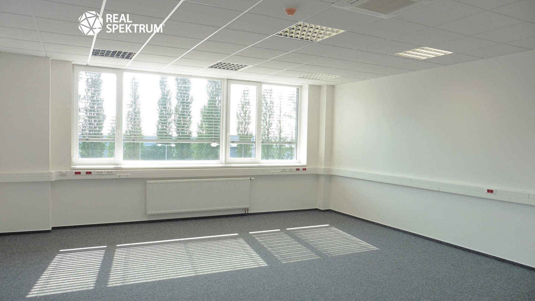 Pronájem kanceláře 85 m² — photo 4