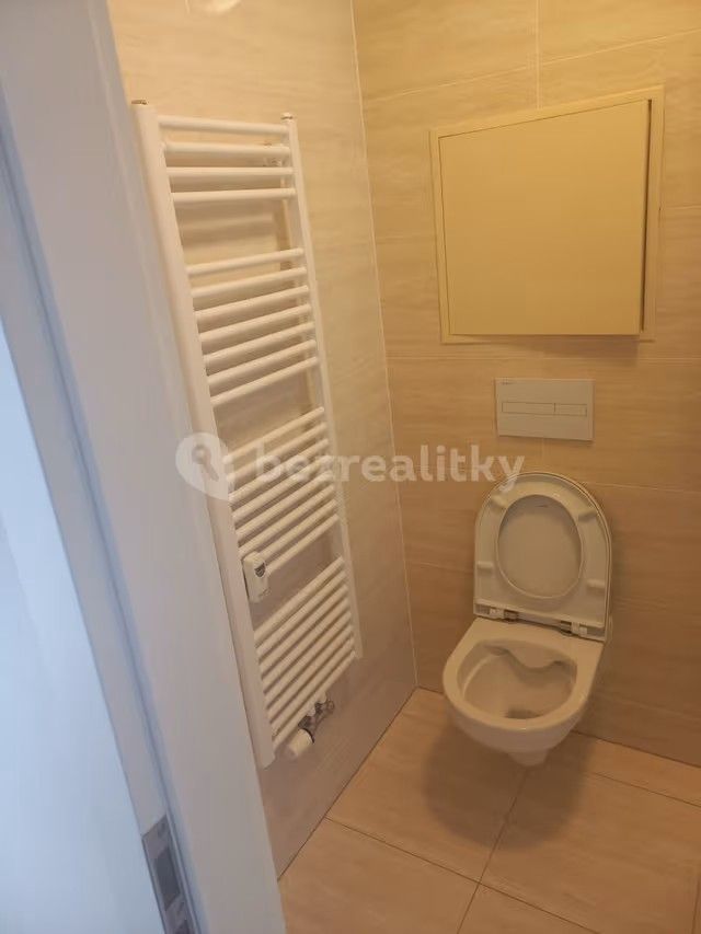 Pronájem bytu 1+kk 25 m² — photo 4